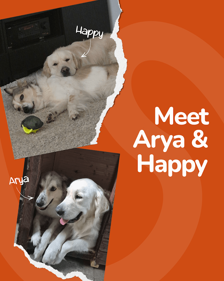 Arya and Happy — the dogs that inspired Haystack